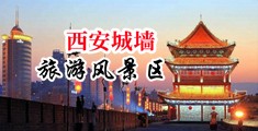 插逼操穴欧美中国陕西-西安城墙旅游风景区
